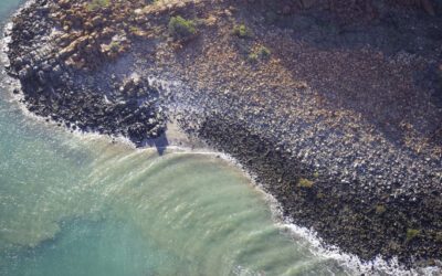 Unreasonable delay in Federal cultural heritage protection decision